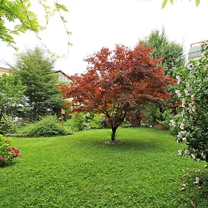 Apartment Nigler, Innsbruck